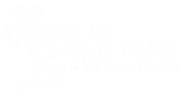 Prof. Dr. Selçuk Peker